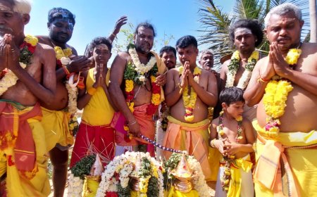 ஸ்ரீ வடபத்ர காளியம்மன் திருக்கோவிலில் மகா கும்பாபிஷேக விழா
