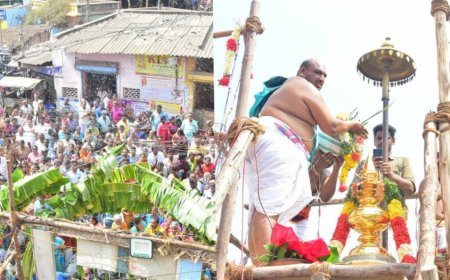 திருச்சி காந்தி மார்க்கெட் நெல் பேட்டை கோட்டை கிருஷ்ணன் கோவில் மகா கும்பாபிஷேக விழா