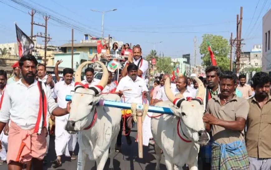 திருச்சியில் முன்னாள் அமைச்சர் விஜயபாஸ்கர் மாட்டு வண்டி ஓட்டி அதிமுக வேட்பாளர் கருப்பையாவுக்கு வாக்கு சேகரிப்பு