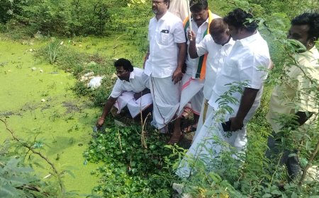 திருச்சி மாவட்டம் பொன்மலைப்பட்டியில் உள்ள மாவடிகுளத்தில் உள்ள மீன்கள்  பல நாட்களாக இறந்து கிடந்தன