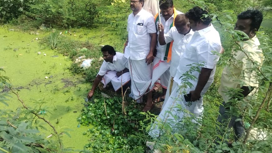 திருச்சி மாவட்டம் பொன்மலைப்பட்டியில் உள்ள மாவடிகுளத்தில் உள்ள மீன்கள்  பல நாட்களாக இறந்து கிடந்தன